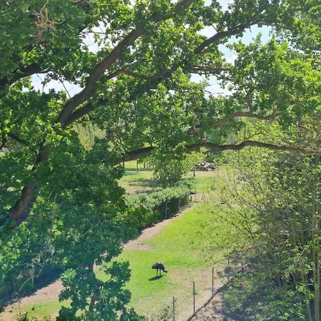 Apartament Blumenberg Gaensefurther Str Stassfurt