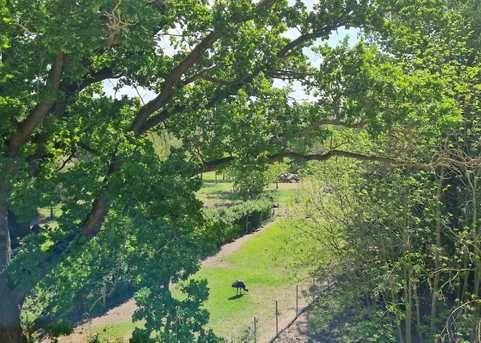 Lägenhet Blumenberg Gaensefurther Str Stassfurt